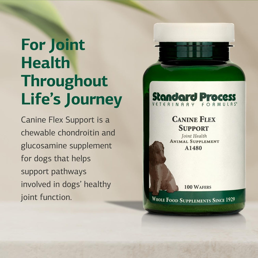 Standard Process Canine Flex Support dog eating a wafer for joint health