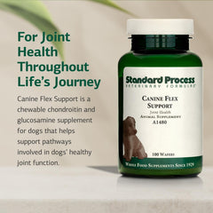 Standard Process Canine Flex Support dog eating a wafer for joint health