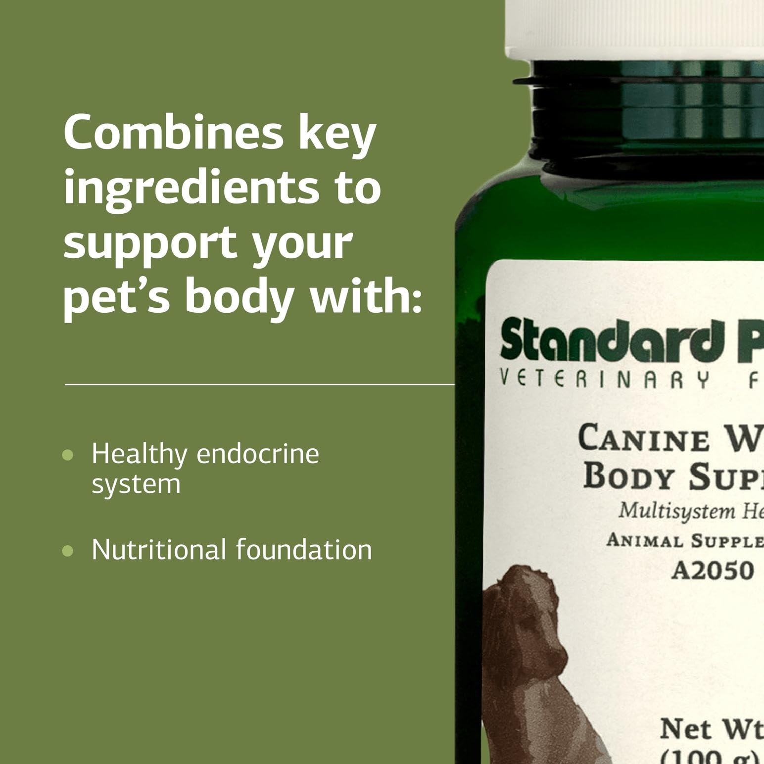 Standard Process Canine Whole Body Support powder mixed into a dog's meal.