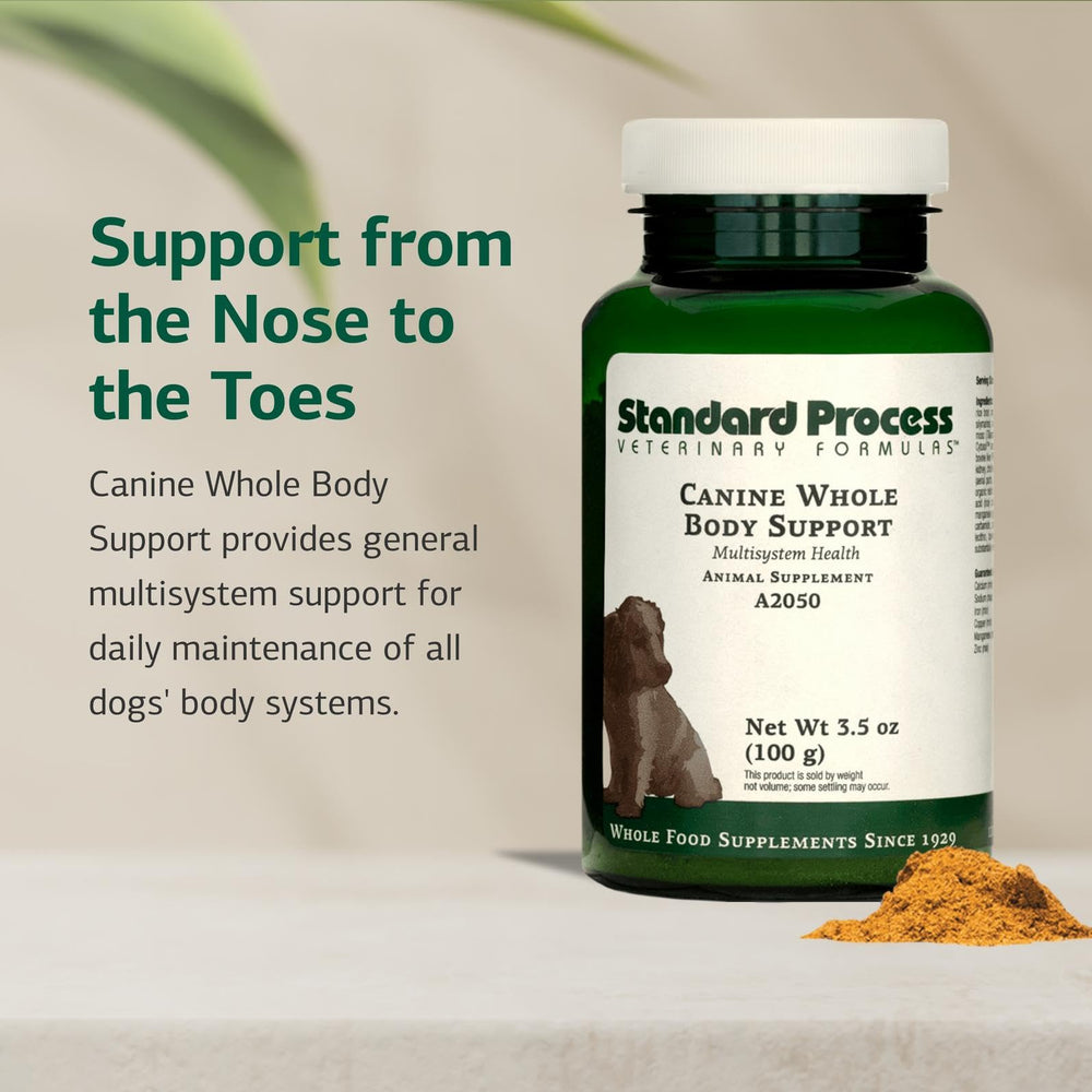 Standard Process Canine Whole Body Support powder sprinkled into dog food.