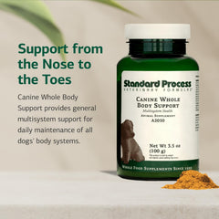Standard Process Canine Whole Body Support powder sprinkled into dog food.