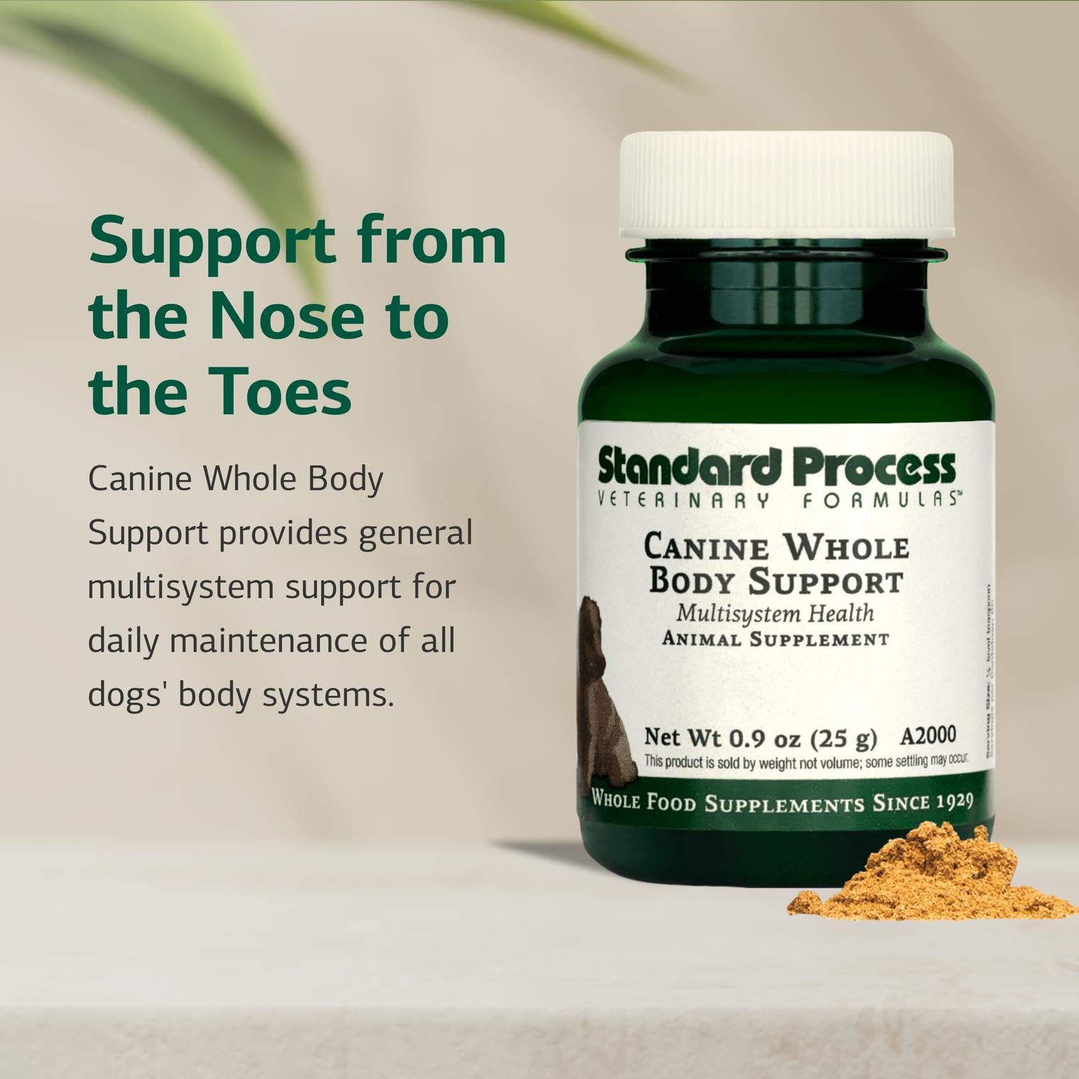 Standard Process Inc. Canine Whole Body Support served with meals.