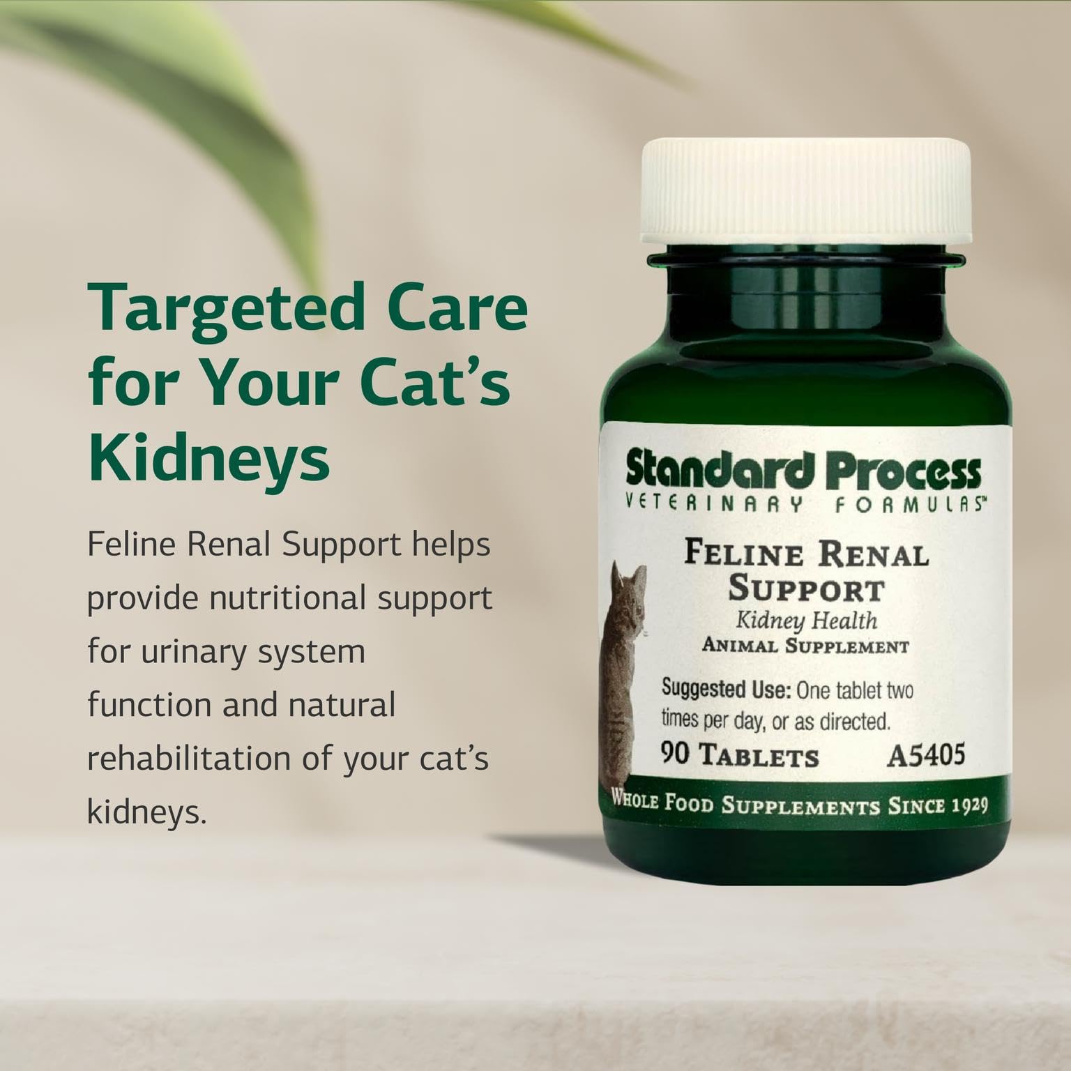 Standard Process Inc. Feline Renal Support shown being mixed with food for easy administration.