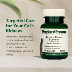 Standard Process Inc. Feline Renal Support shown being mixed with food for easy administration.