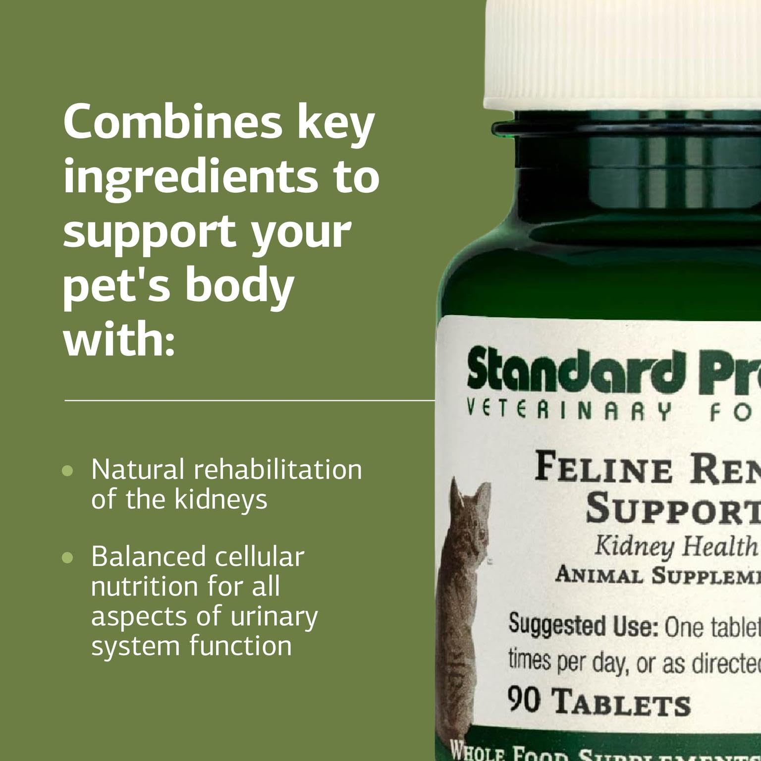 Close-up of whole-food ingredients signals natural formulation to support feline wellness.