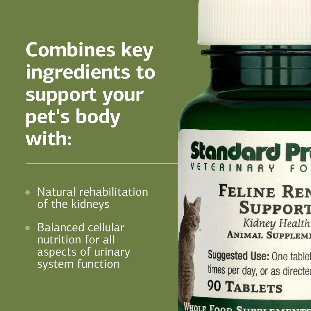 Close-up of whole-food ingredients signals natural formulation to support feline wellness.