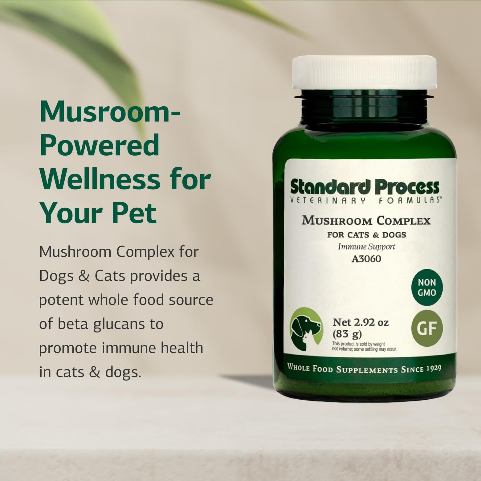 Standard Process Mushroom Complex powder-dispense shows convenient daily dosing for pets