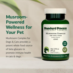 Standard Process Mushroom Complex powder-dispense shows convenient daily dosing for pets