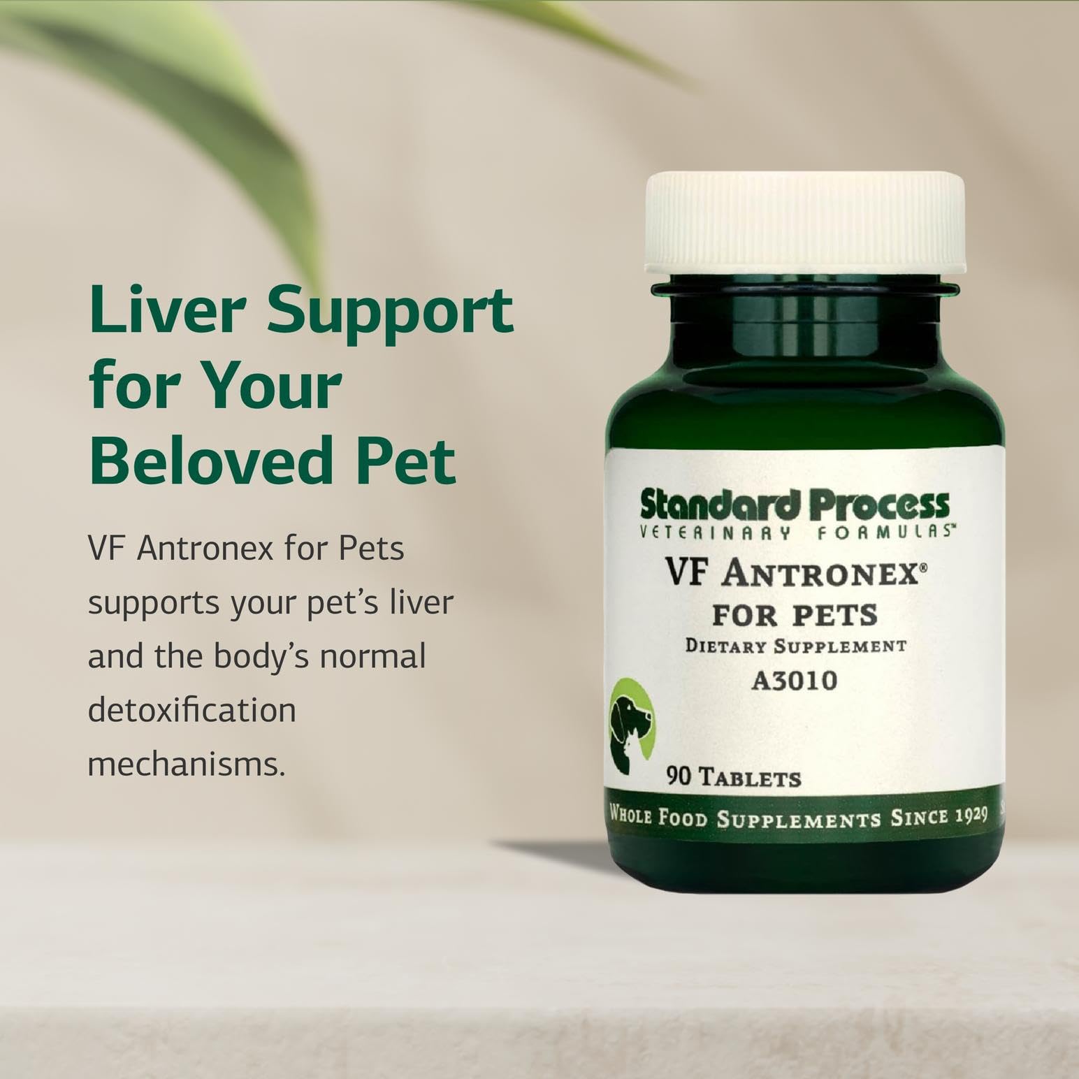 Standard Process VF Antronex para Mascotas: caja con etiqueta que describe el aporte hepático