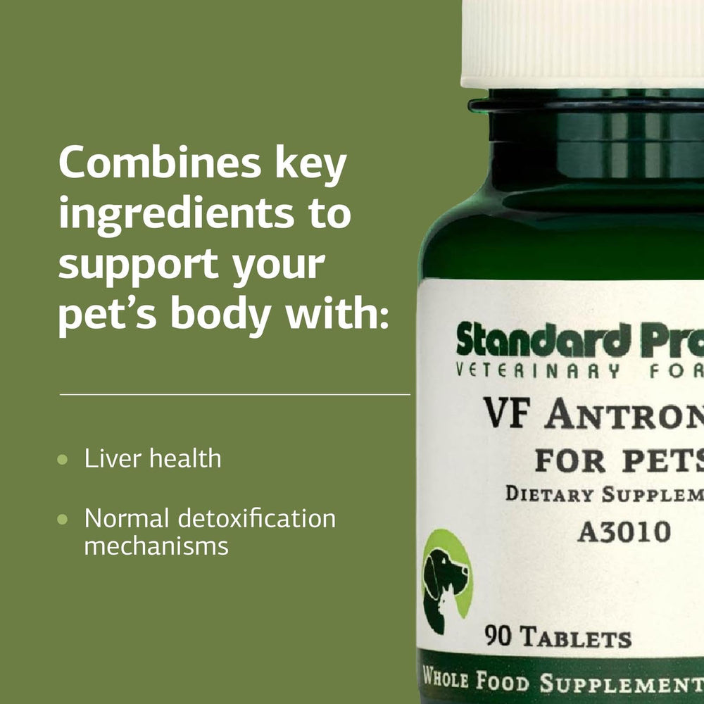 Standard Process VF Antronex para Mascotas: dueño administra tabletas a un perro