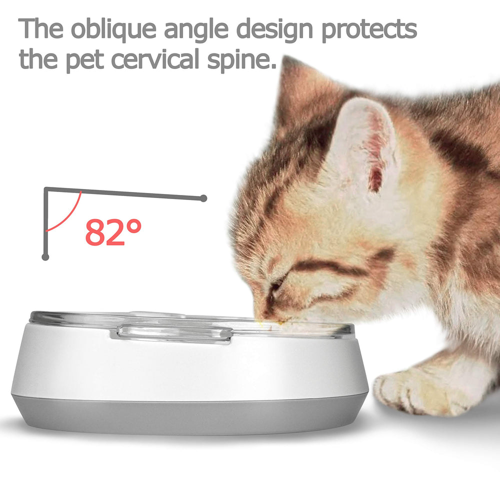 Star durable, stable design keeps the bowl steady during play.