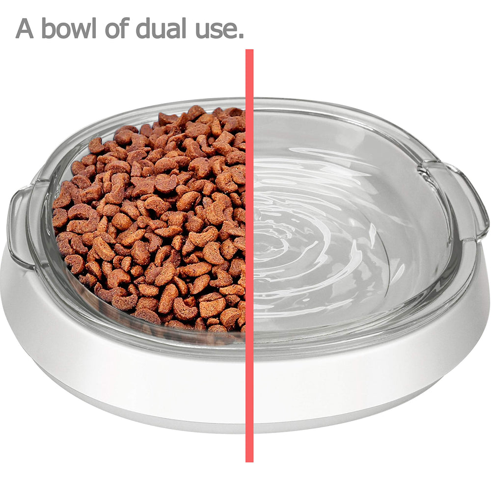 Star glass bowl for kittens offers a cool, easy-to-clean surface.