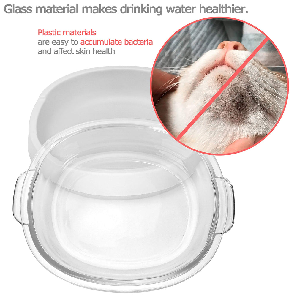 Star small-pet friendly bowl ideal for kittens and small dogs.