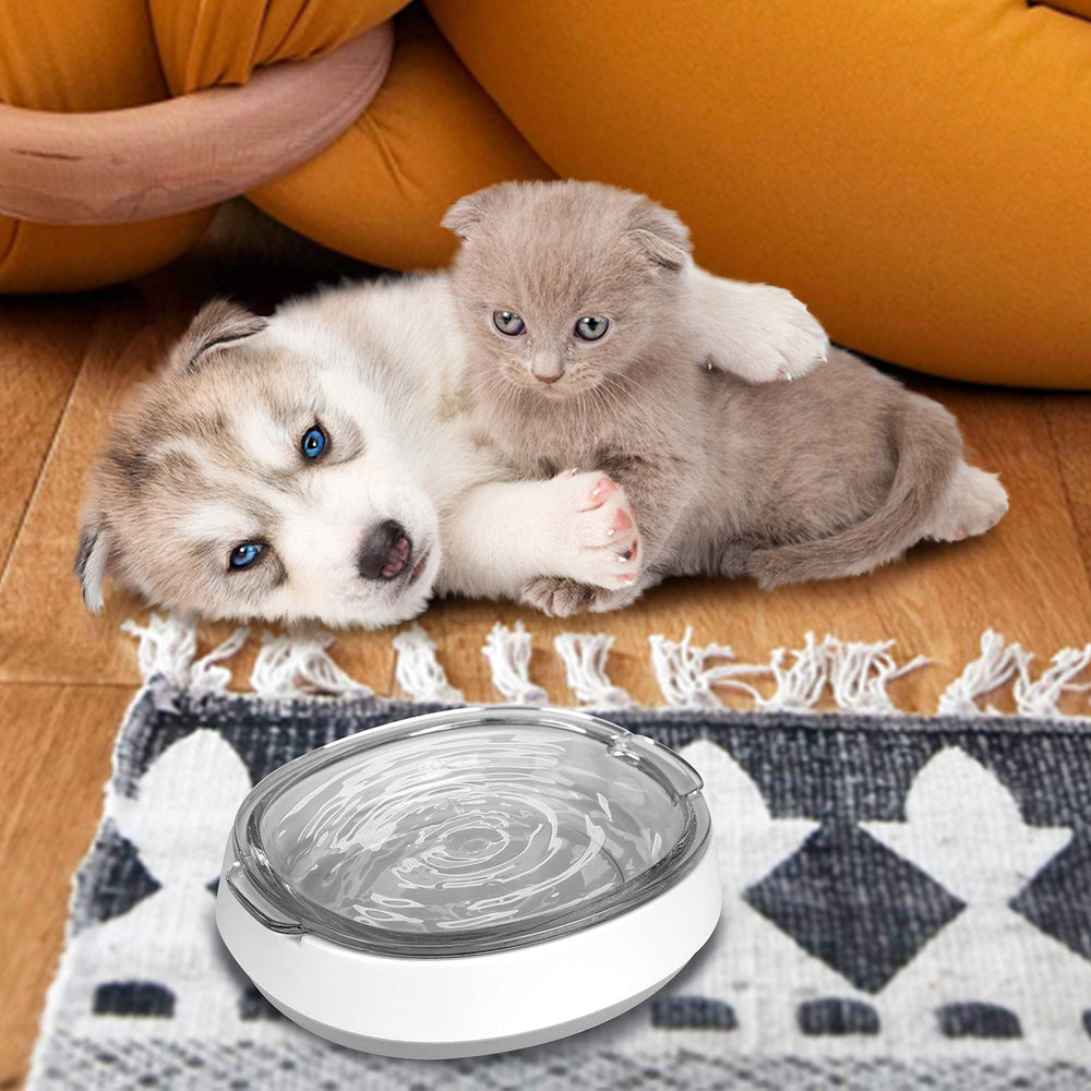 Star spine-protect bowl promotes comfortable posture during feeding.