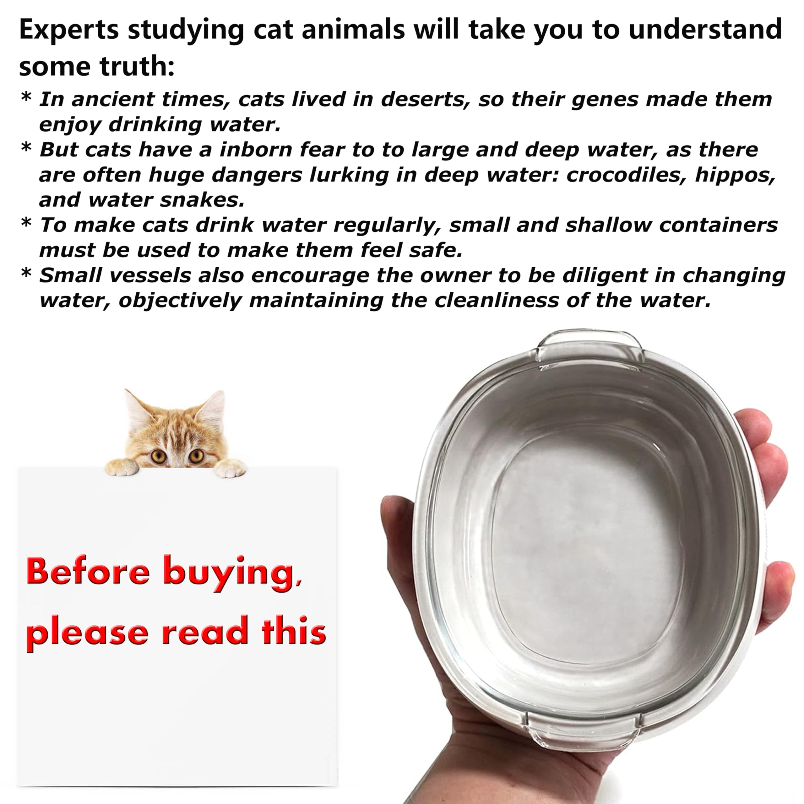 Star transparent pet bowl makes hydration monitoring simple.