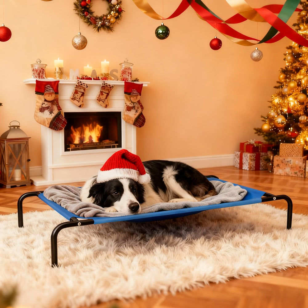 STARLATTA blue cot ideal for large dogs in various settings