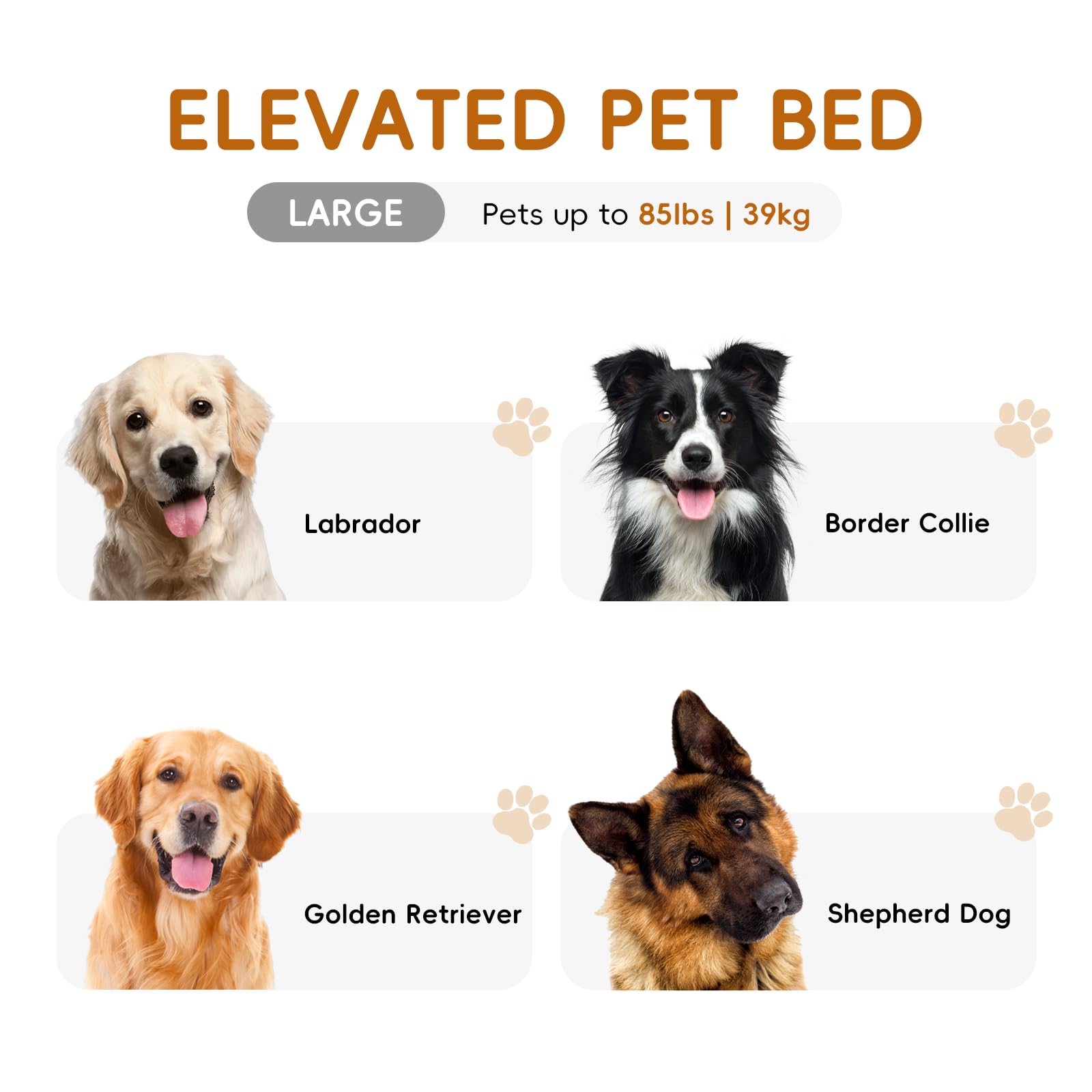 STARLATTA dog bed placed indoors or outdoors for versatile use