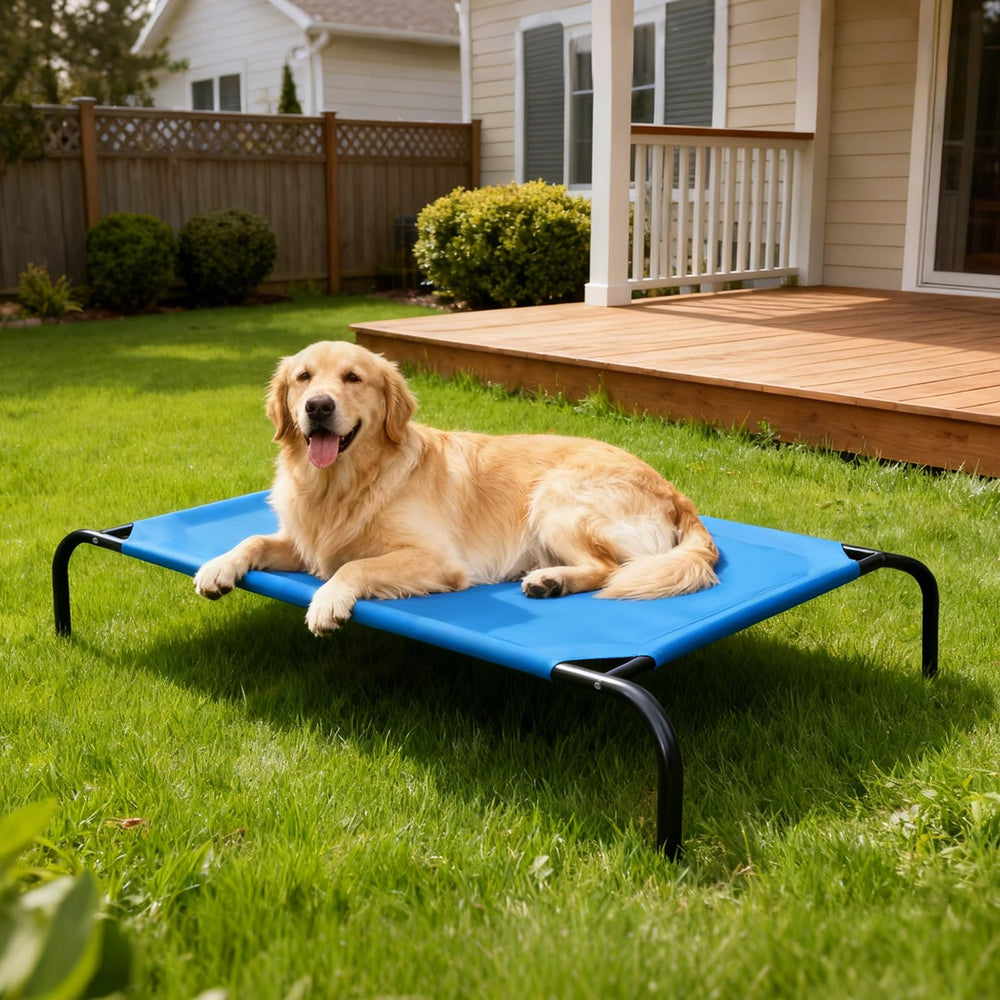 STARLATTA Blue color 50in elevated bed illustrates cooling comfort in hot weather