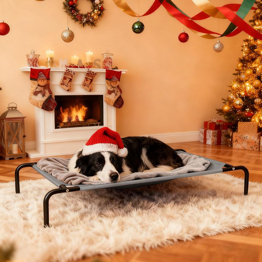 STARLATTA grey color elevated dog bed complements outdoor spaces