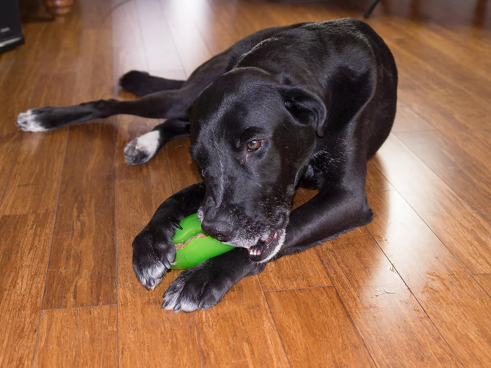 Starmark Pickle Pocket works with Flavor Wave Treats for extended flavor-filled play.