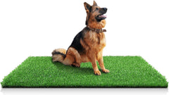 STARROAD-TIM artificial grass rug indoor-outdoor 59x39 inches for dog potty training.