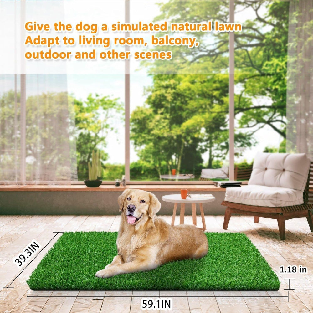 STARROAD-TIM dog potty grass close-up showing quick drainage for clean paws.