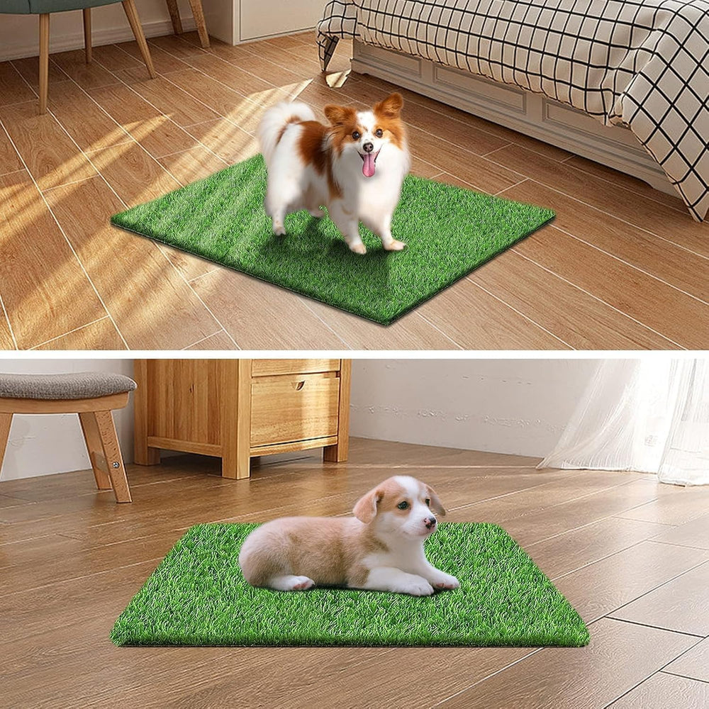STARROAD-TIM easy-clean puppy grass mat rinse with soap and water.