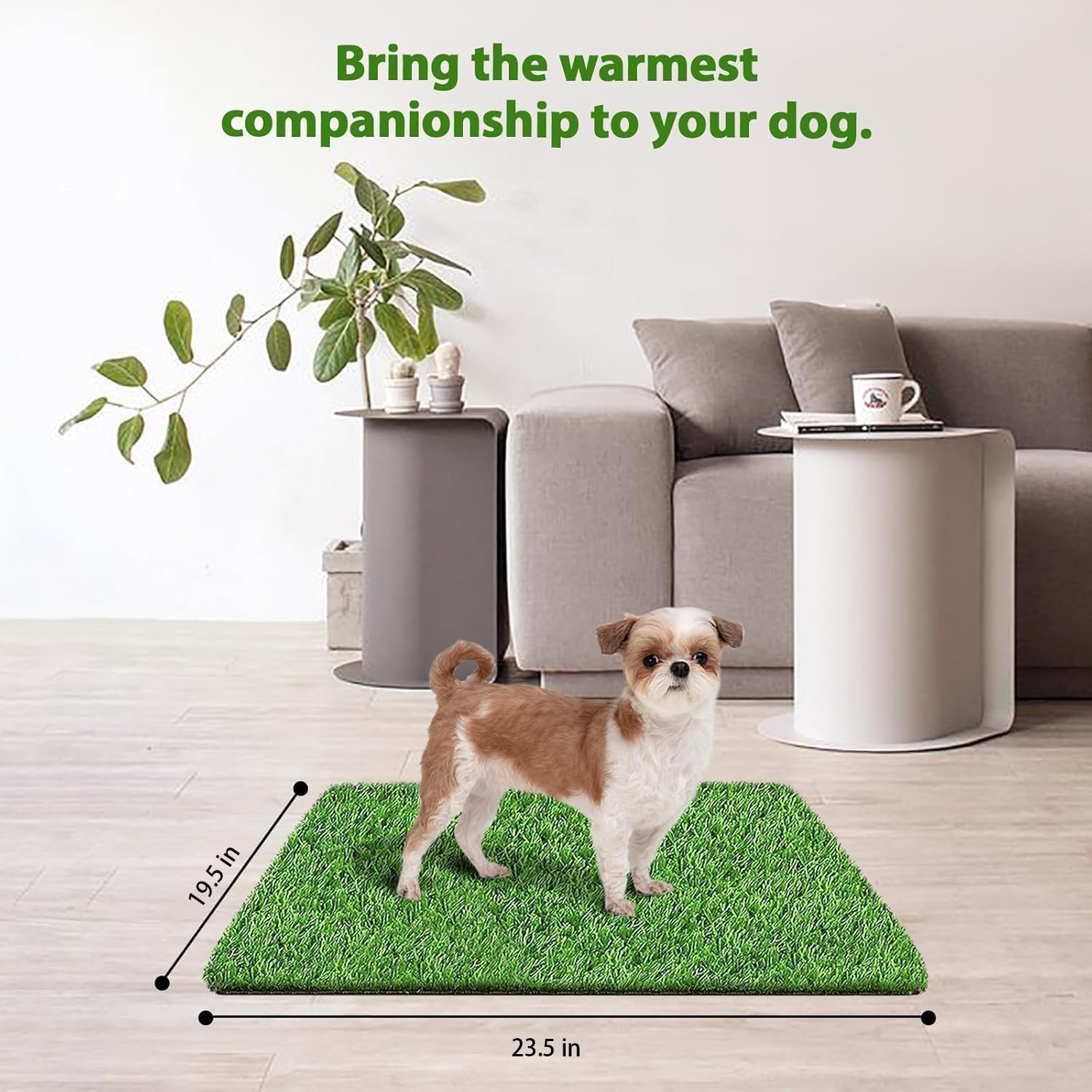 STARROAD-TIM indoor-outdoor grass mat shows natural look for apartment setups and easy care.