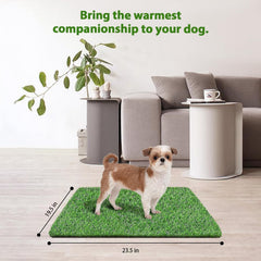 STARROAD-TIM indoor-outdoor grass mat shows natural look for apartment setups and easy care.