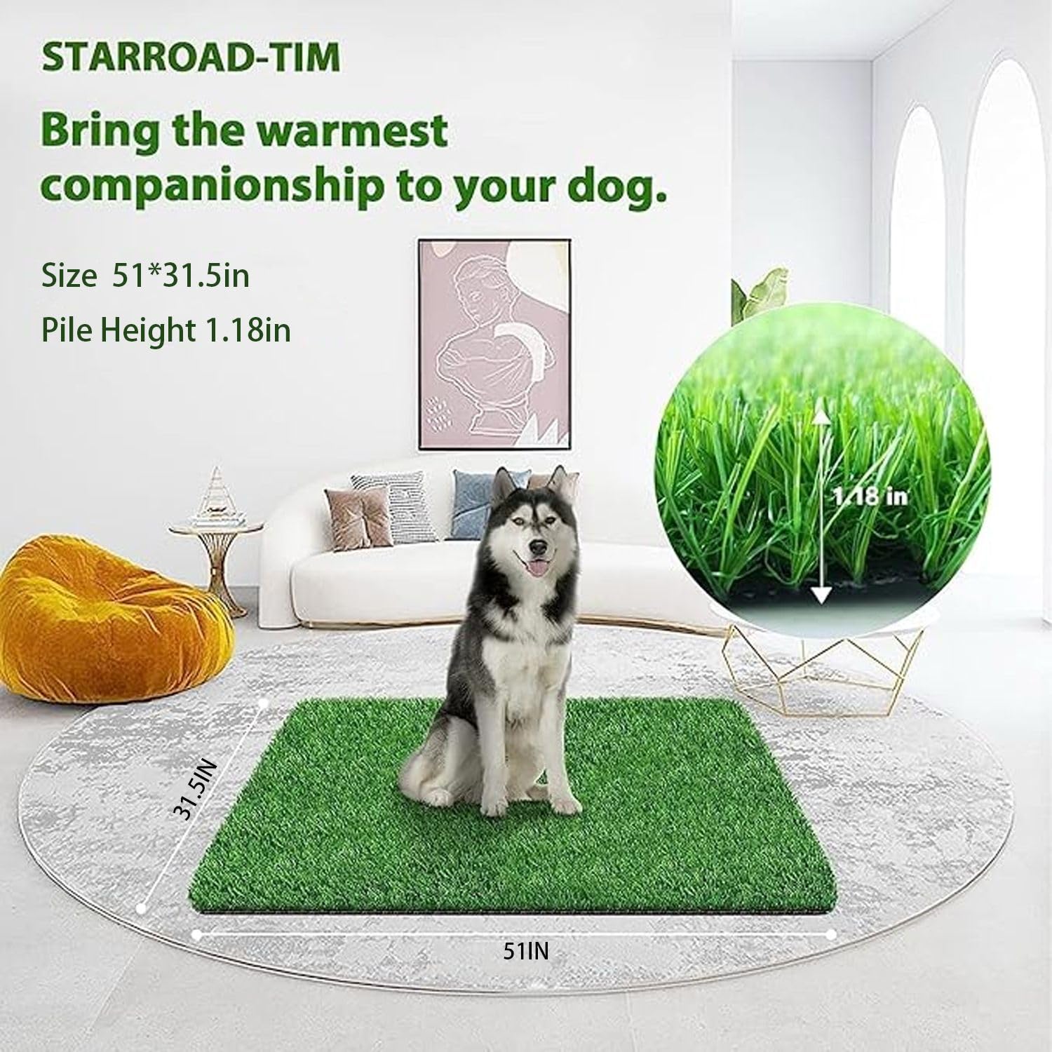 STARROAD-TIM potty-training-area turf demonstrates quick puppy guidance and easy cleanups.