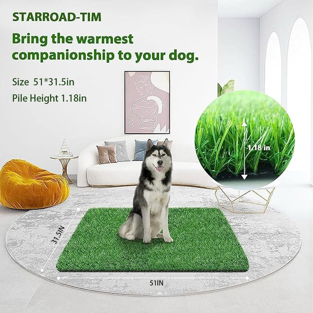 STARROAD-TIM potty-training-area turf demonstrates quick puppy guidance and easy cleanups.