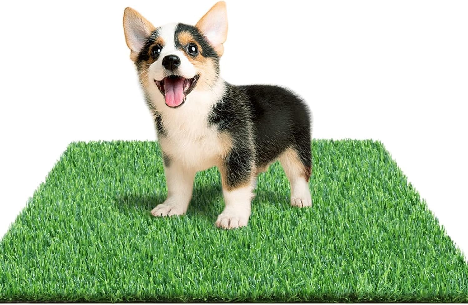 STARROAD-TIM puppy turf pad on patio supports convenient indoor potty training.