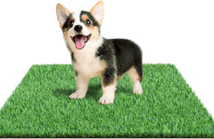 STARROAD-TIM puppy turf pad on patio supports convenient indoor potty training.