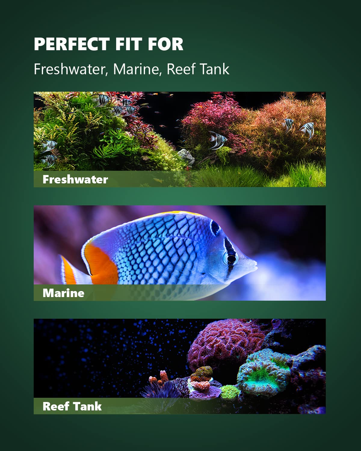 STAYGROW flow-modes illustrate five options for reef, freshwater, and mixed tanks.