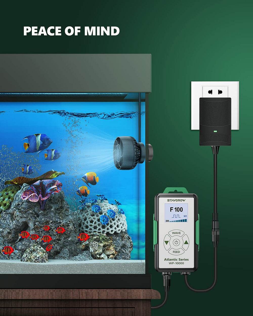 STAYGROW in-tank view shows gentle, natural wave motion enhancing tank vitality.