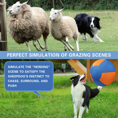 Stcohyz Herding Ball durable-material close-up emphasizes safe training and interactive fun