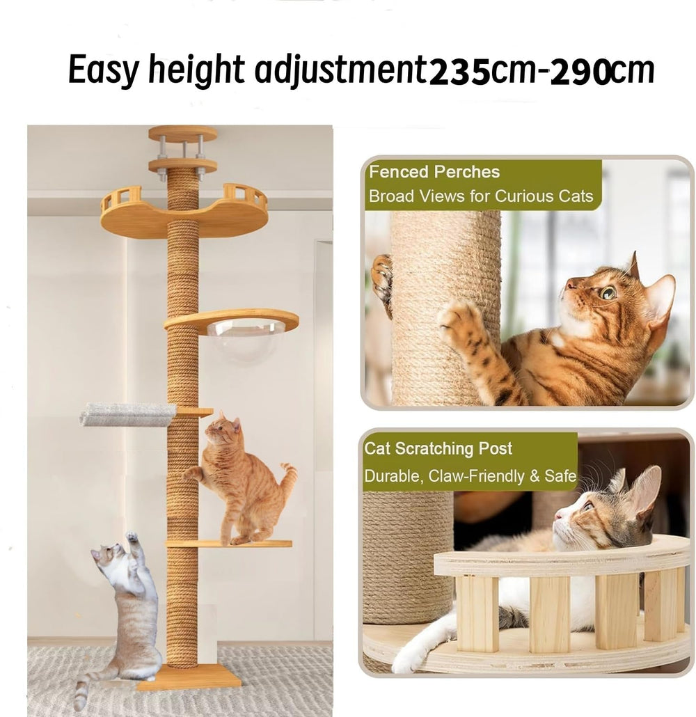 Stcyutdaa look-out terrace platform offers elevated perspective for curious cats