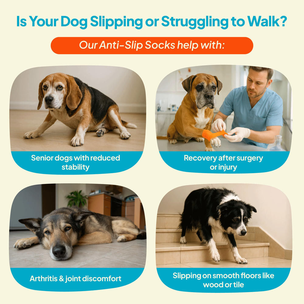 Steady Paws socks show double-sided grip for traction