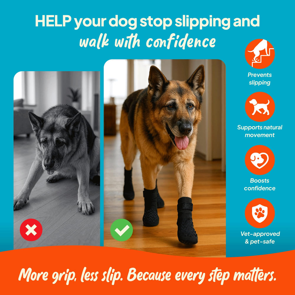Steady Paws close-up shows adjustable Velcro straps for a stay-put fit.