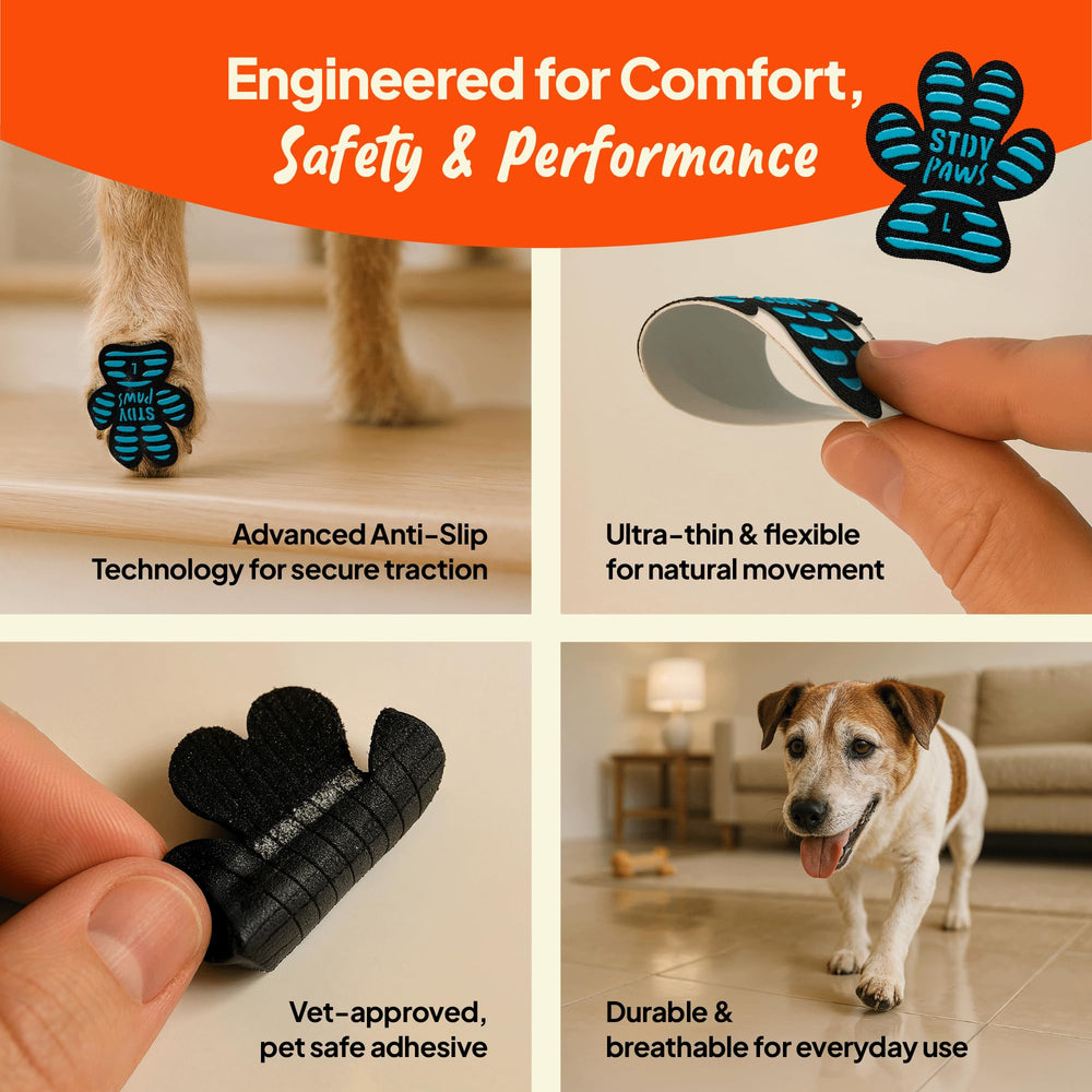 Steady Paws adhesive close-up highlights strong stickiness for reliable daily wear.