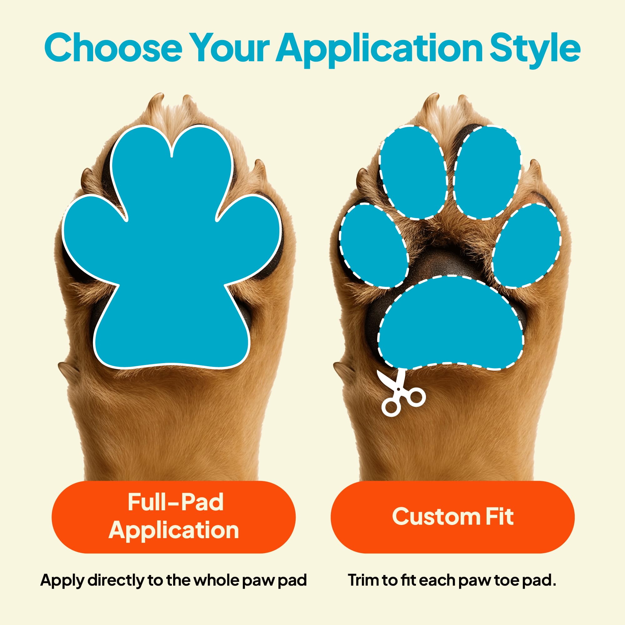 Steady Paws dog-walking scene demonstrates improved stability during everyday activities.