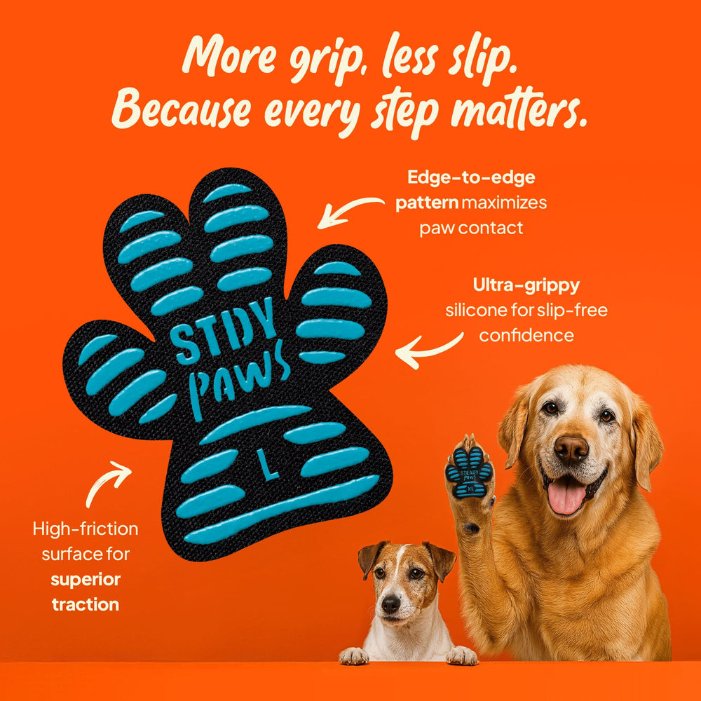 Steady Paws in-use photo shows dog moving confidently on a slick floor.