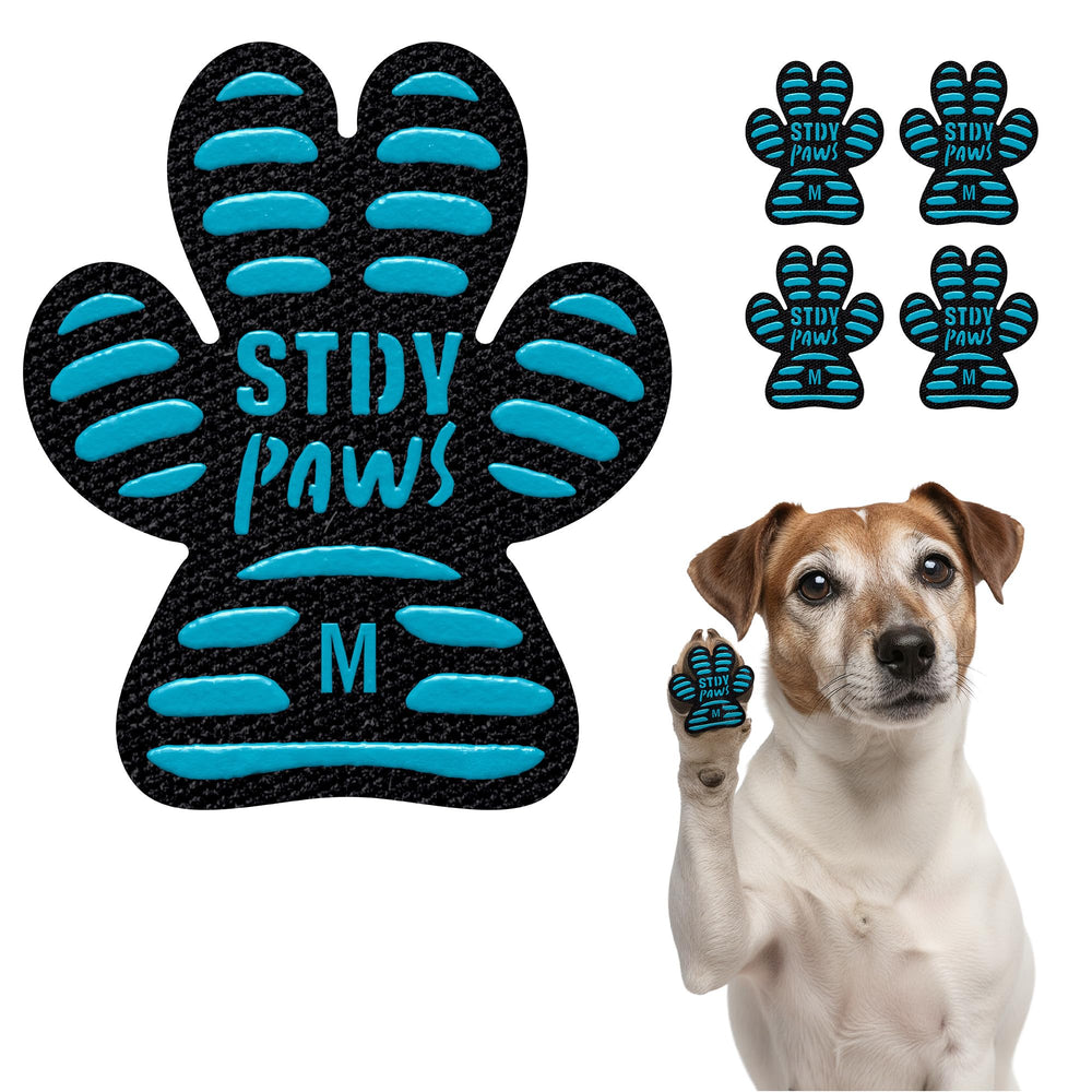Steady Paws anti-slip paw grips package showing quick-apply traction.