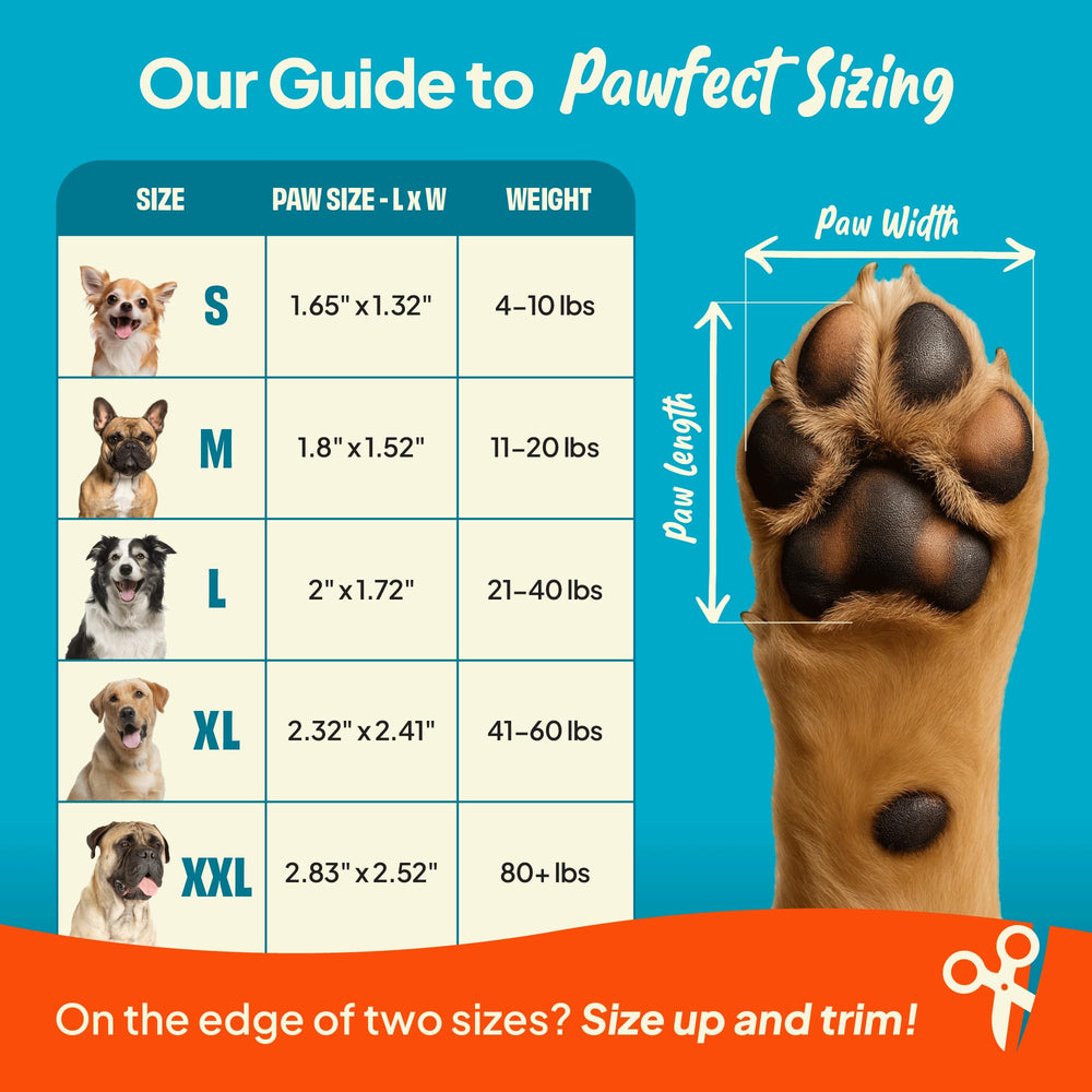 Steady Paws trimming paw fur image shows best adhesion preparation for the pads.