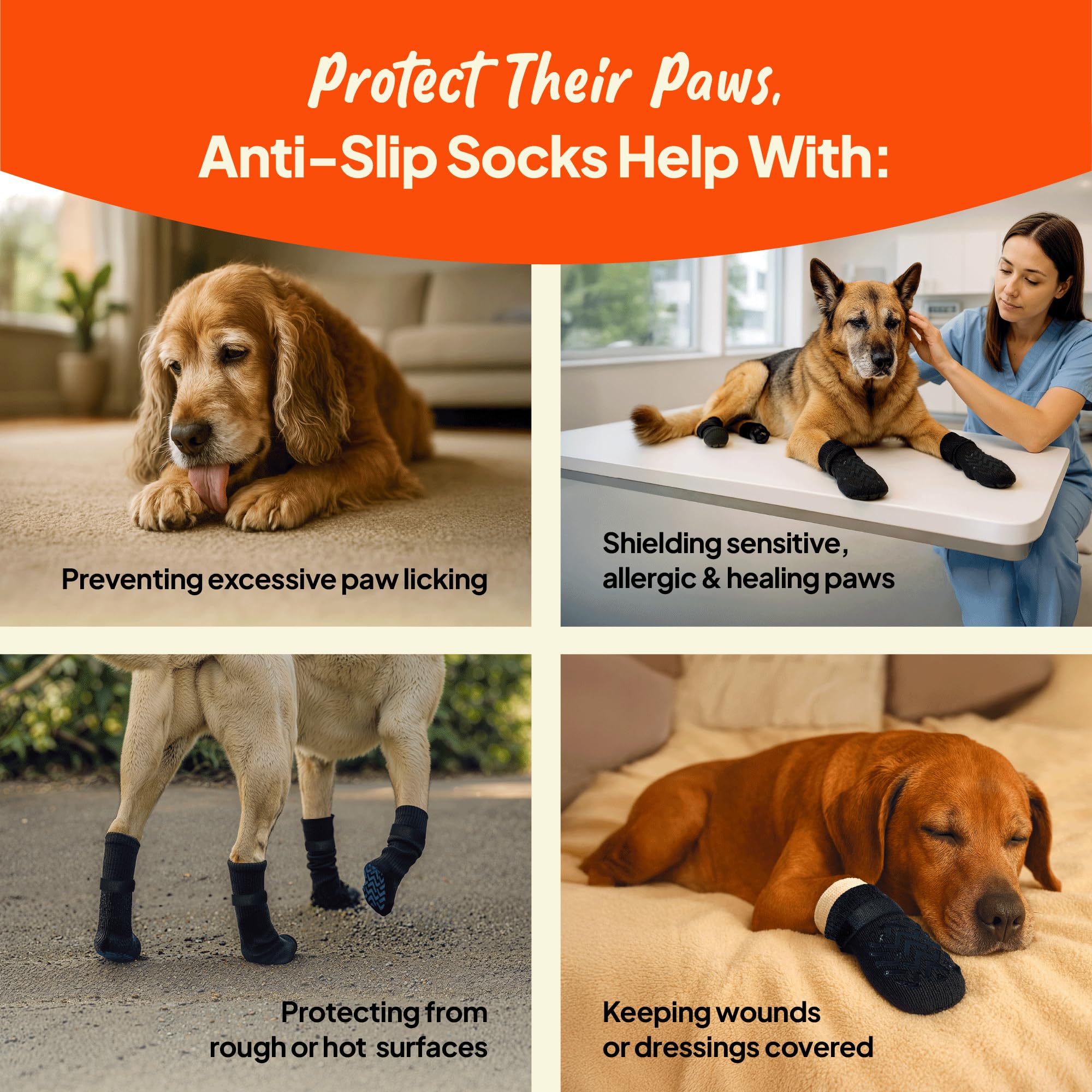 Steady Paws machine-washable design for easy cleaning and daily use.
