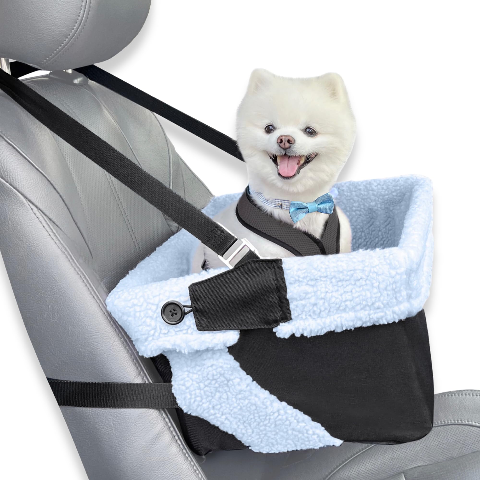 Stella and Bear blue dog booster seat full setup for car trips, secure and comfortable.
