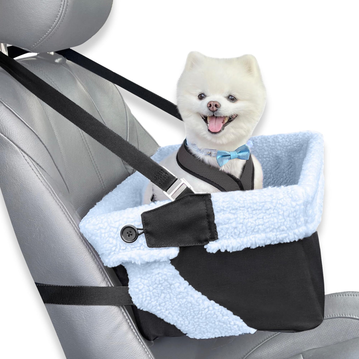Stella and Bear blue dog booster seat full setup for car trips, secure and comfortable.