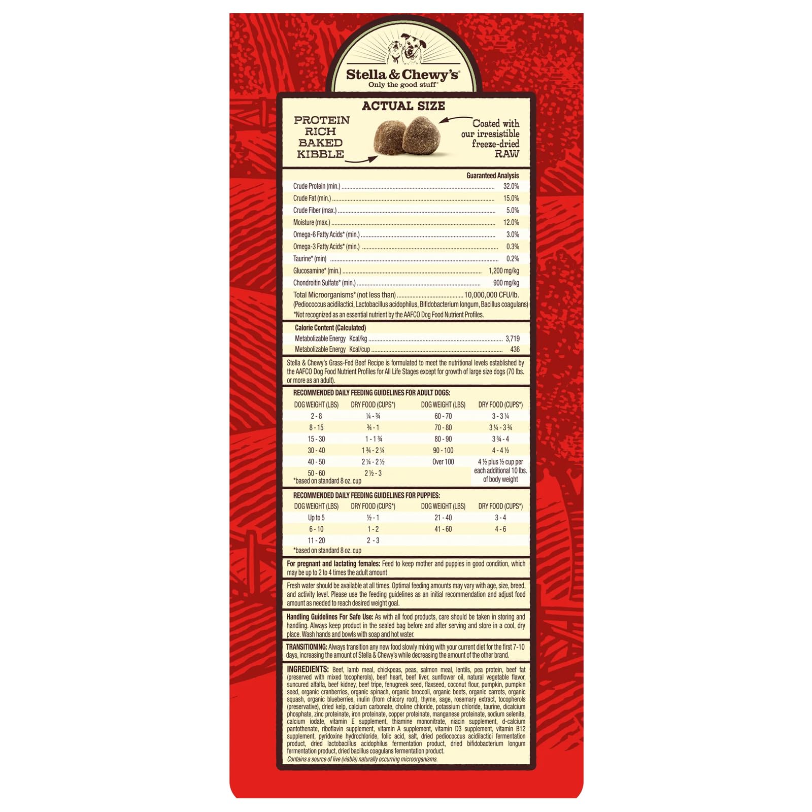 Stella & Chewy's Raw Coated Beef Recipe kibble close-up with freeze-dried coating.