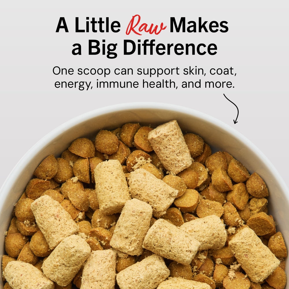 Stella & Chewy's 95% cage-free chicken with organs and bone protein-rich.