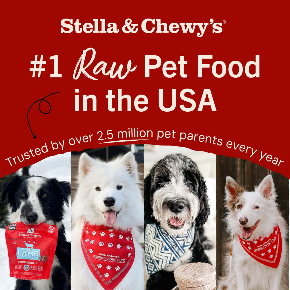 Stella & Chewy's mixers rehydrated with warm water for aroma.